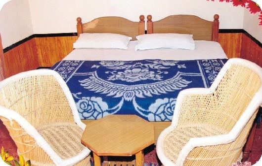 Priya Guest House 阿杰梅尔 客房 照片